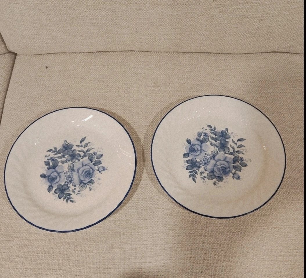 Two Corelle Blue Floral Ceramic Plates