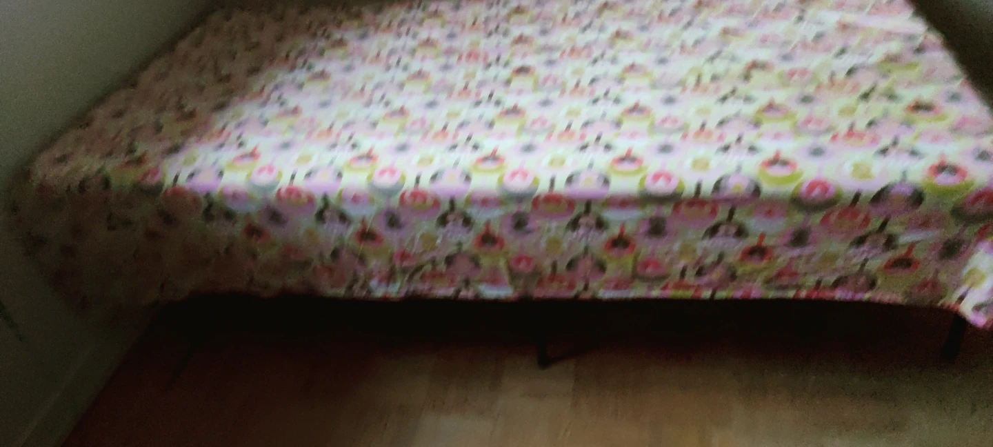 Single Bed Frame and Mattress - photo 2