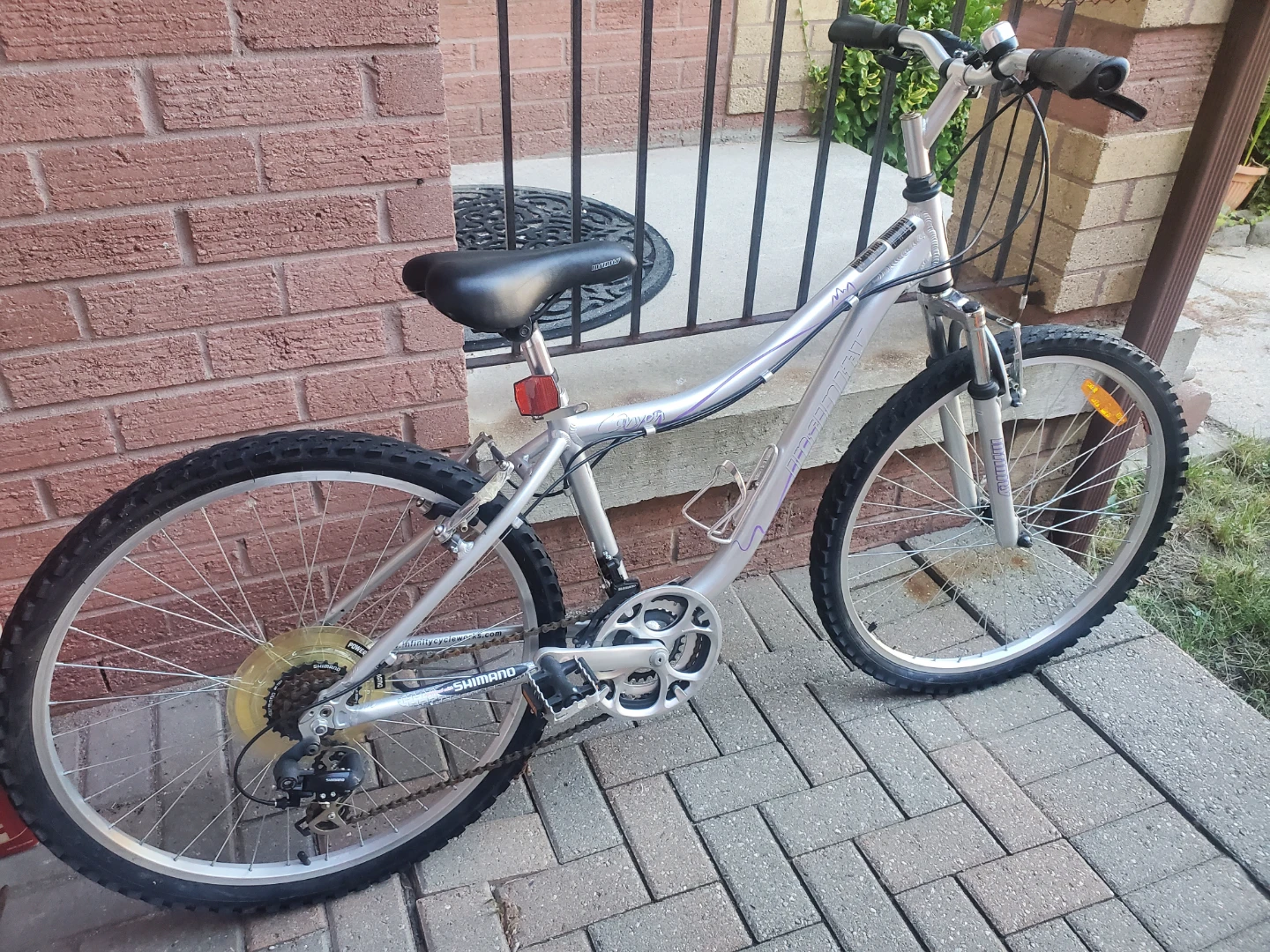 Infinity Canyon Mountain Bike