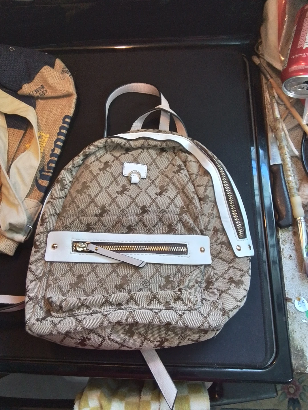 Call It Spring Backpack