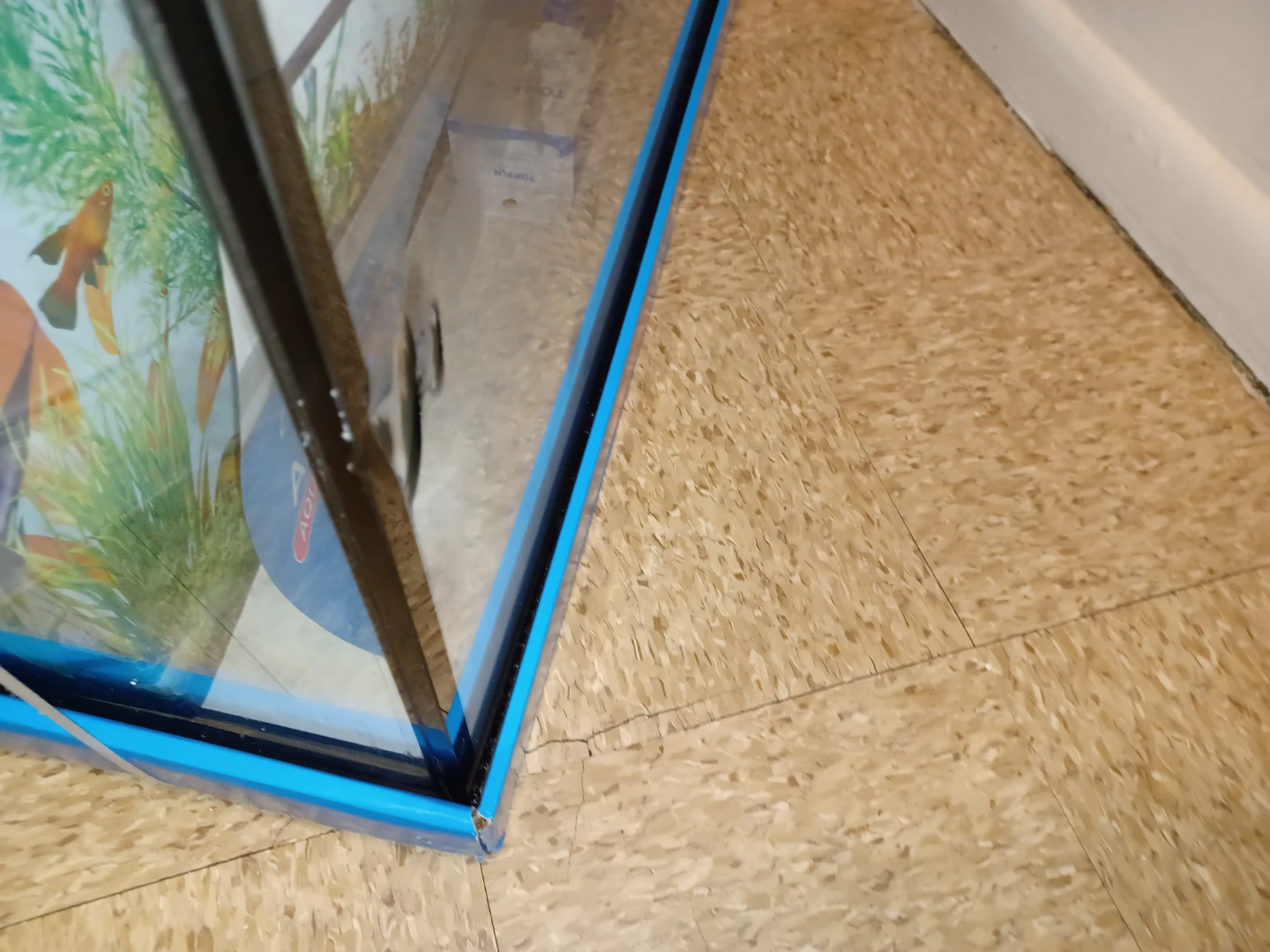 Top Fin 55 Gallon Aquarium - photo 3