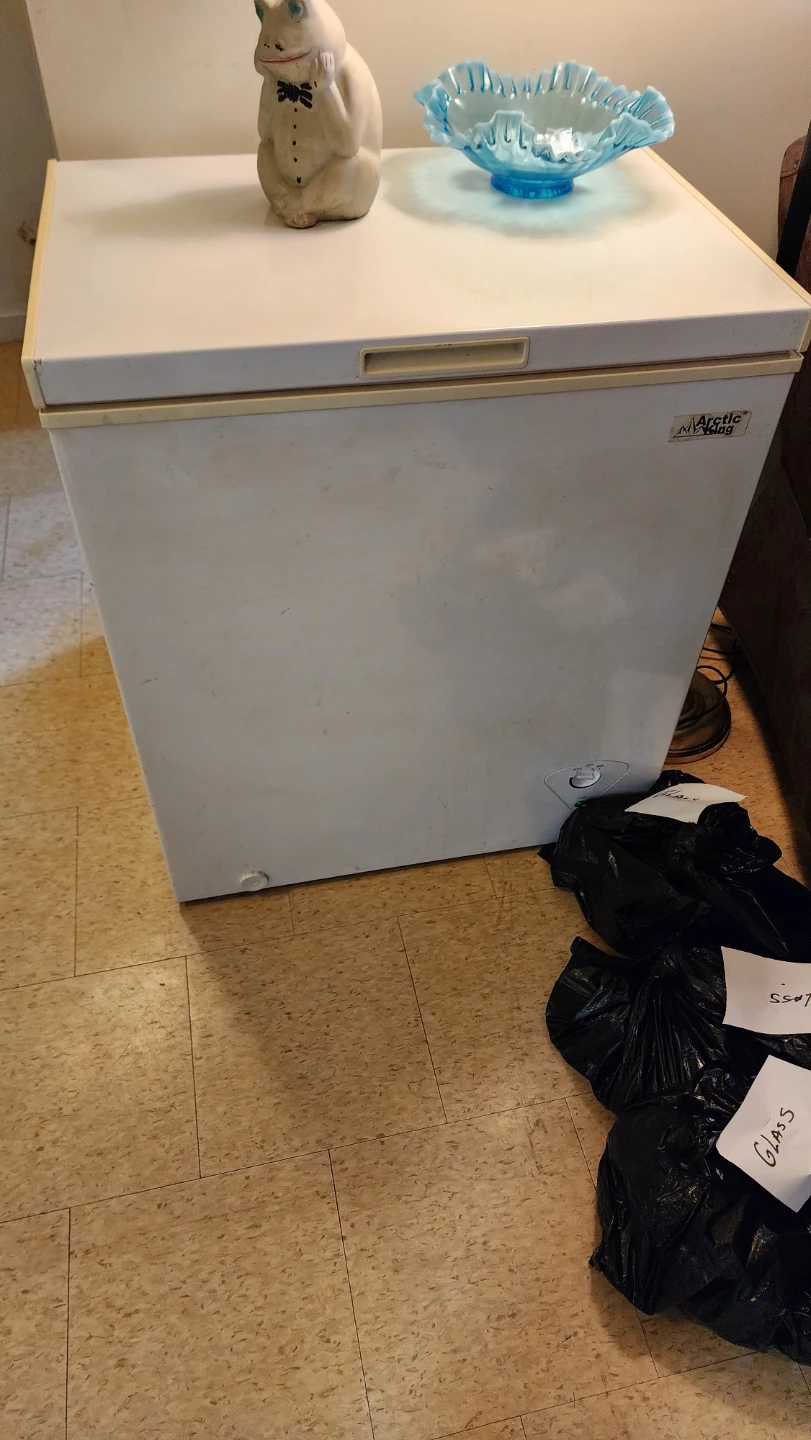 Arctic King Chest Freezer - photo 2