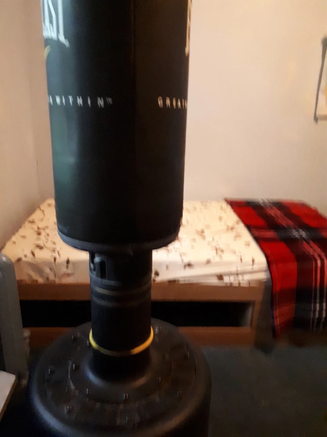 Everlast PowerCore Freestanding Punching Bag