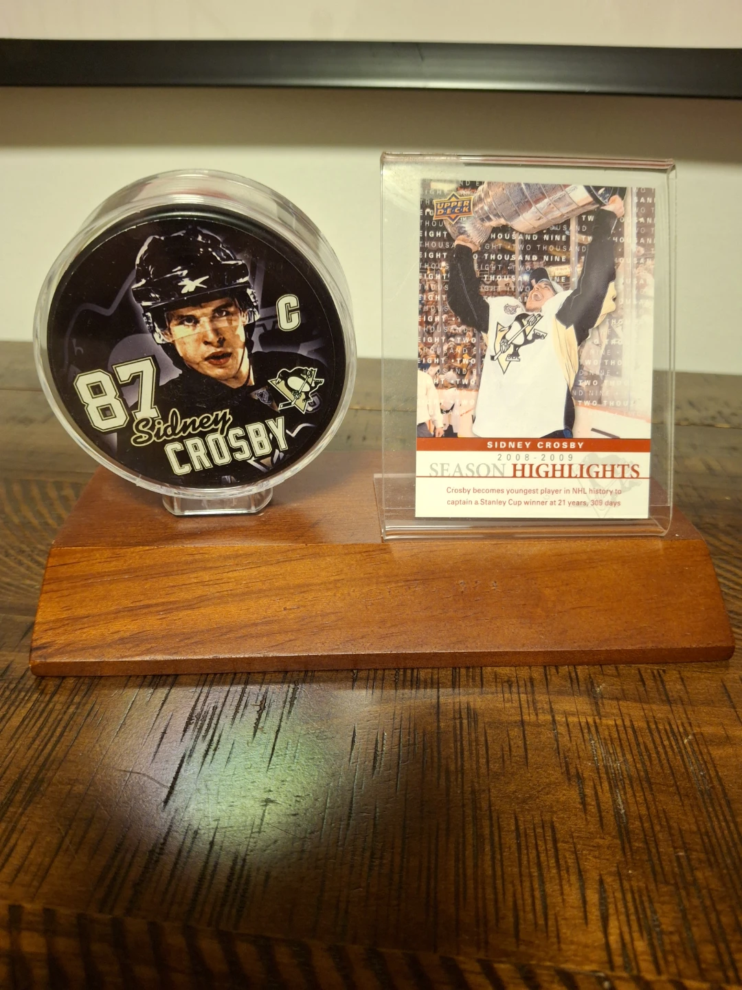 Sidney Crosby 2008-2009 season highlights.