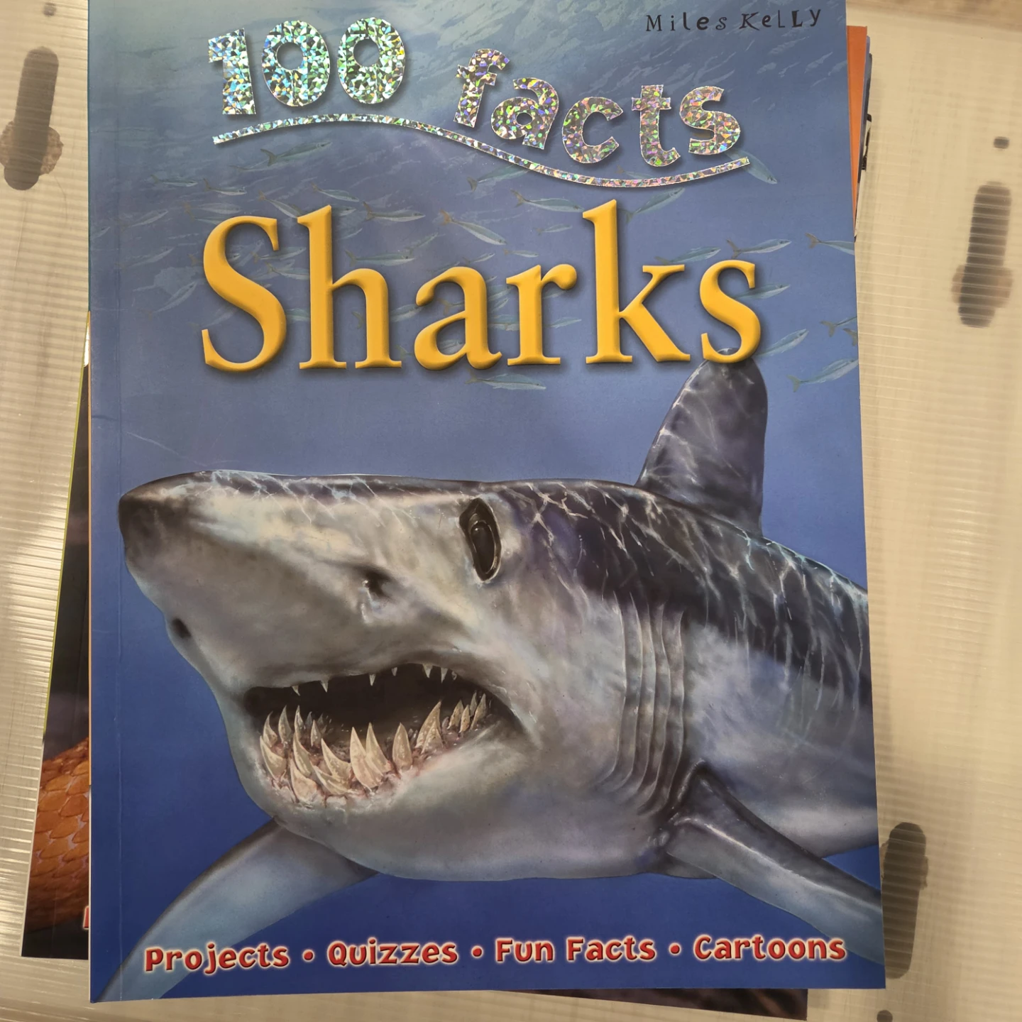Collection of 5 Miles Kelly 100 Facts Books - photo 3