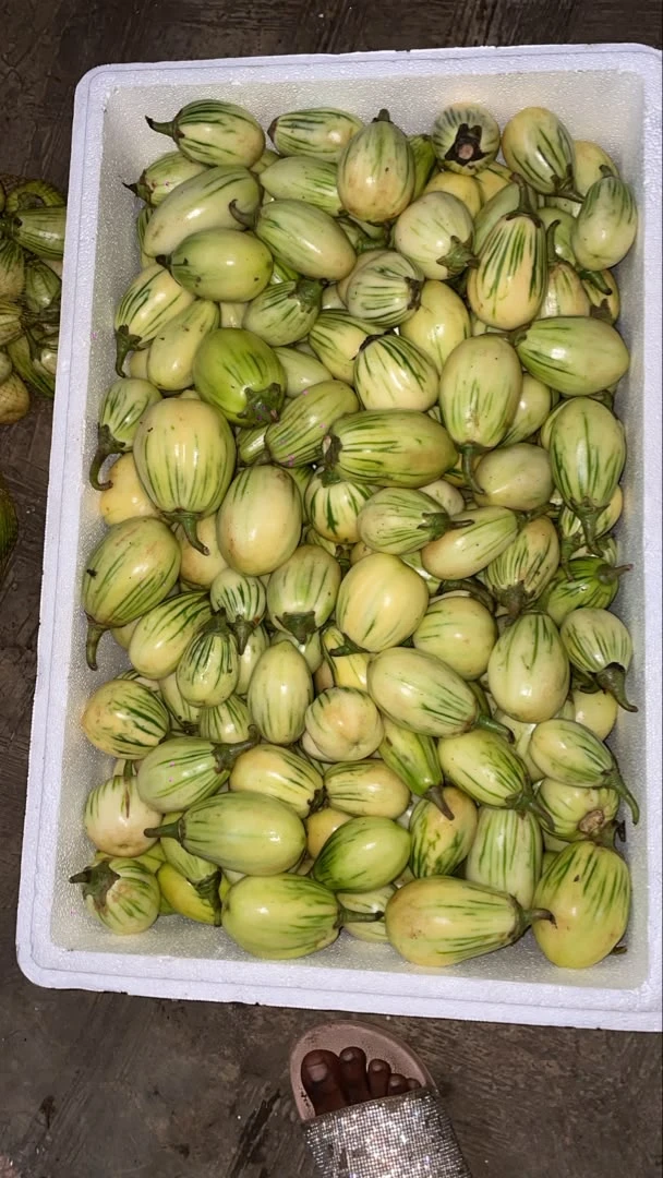 Fresh Garden Eggplants