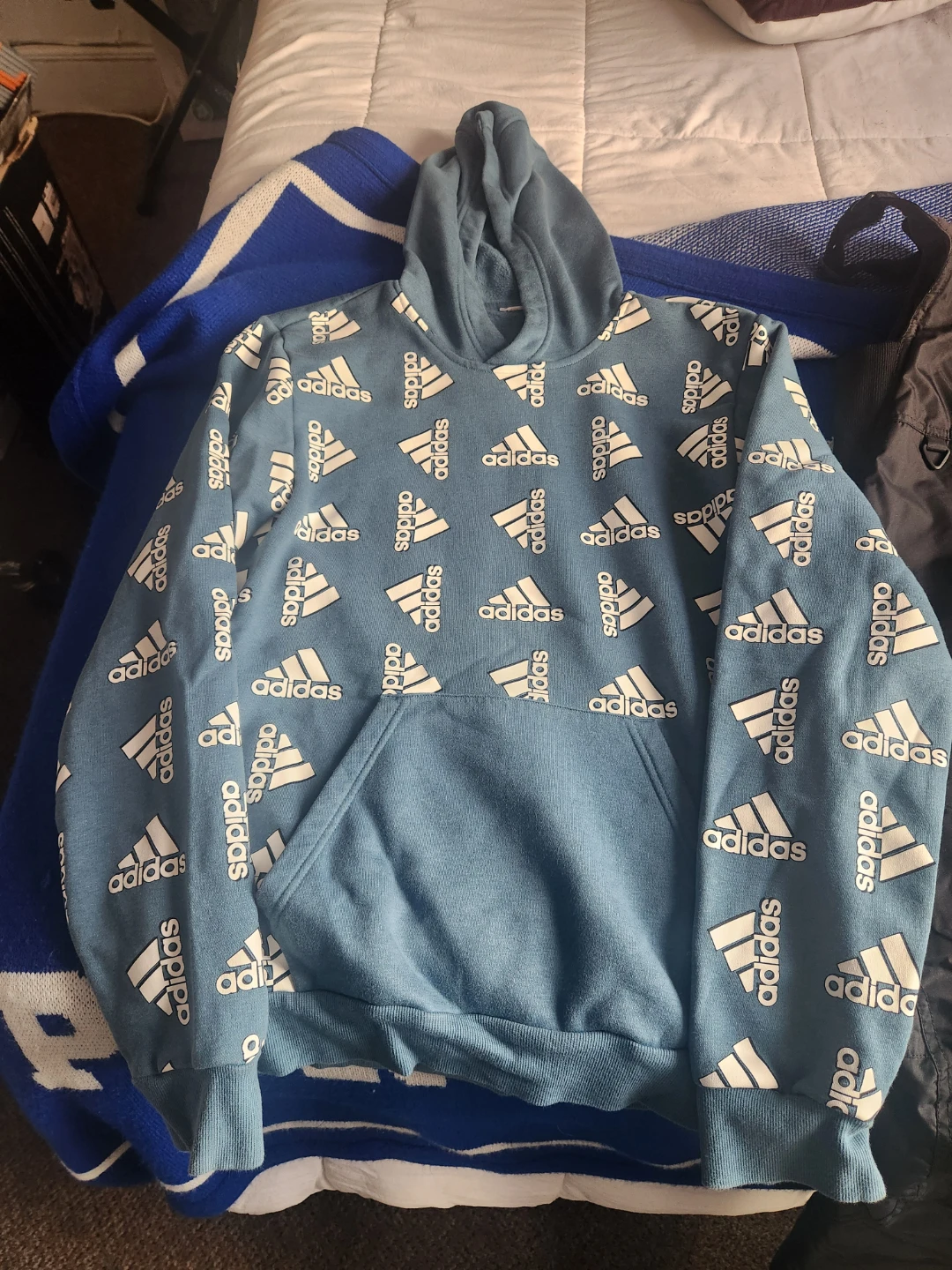 Adidas Blue Logo Print Hoodie