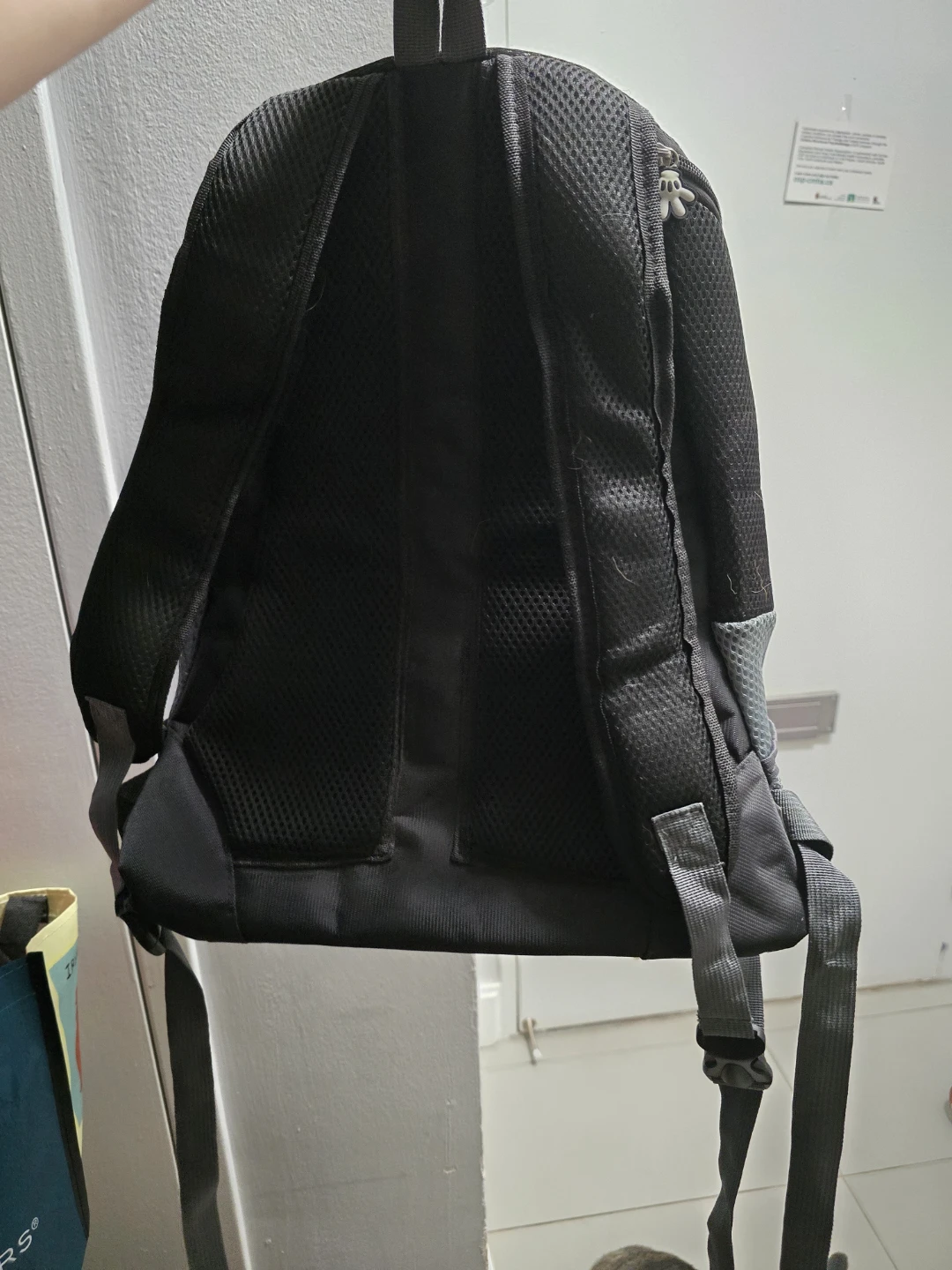 Pet Carrier Backpack - photo 2