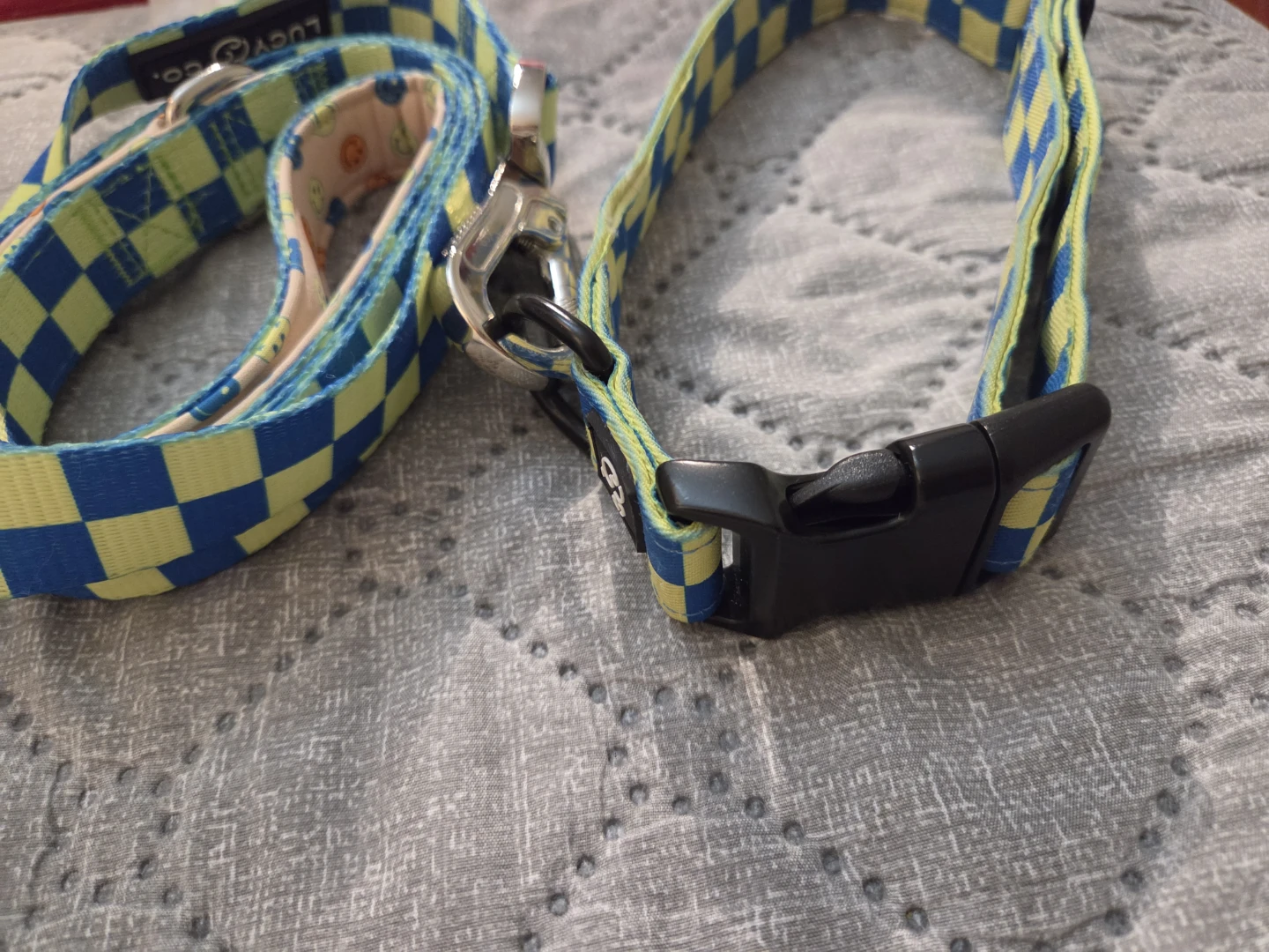 Lucy & Co. Dog Collar and Leash Set - photo 3