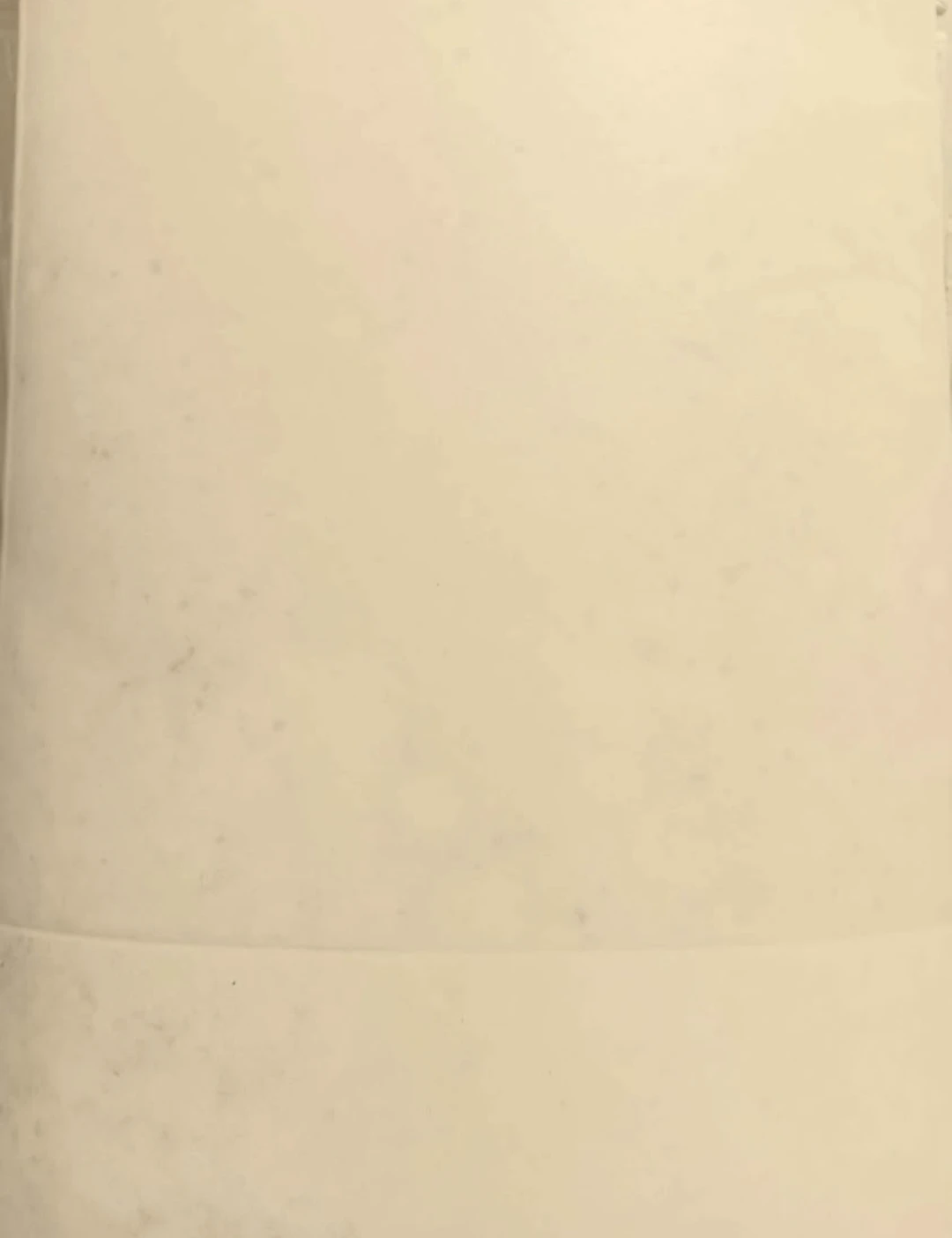 🛠Vinyl Flooring Roll 5.75' x 0.92'🛠 - photo 3