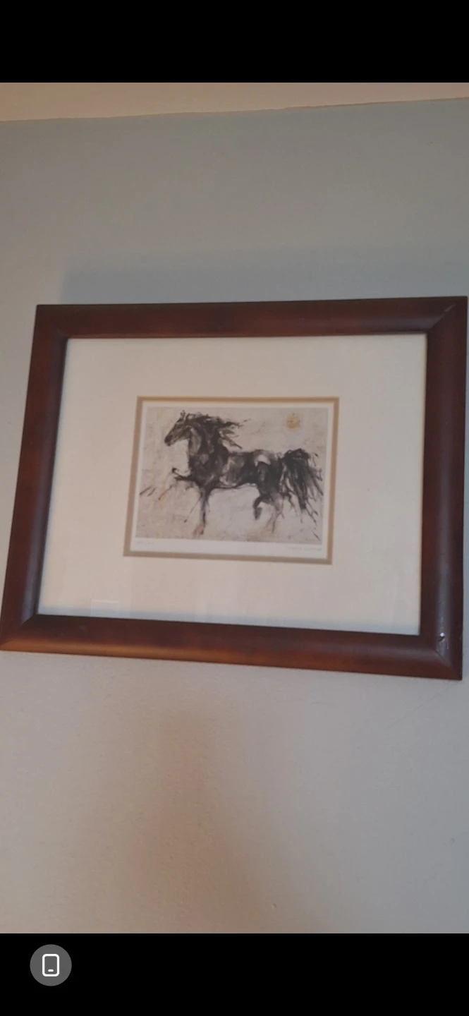 Framed Horse Print