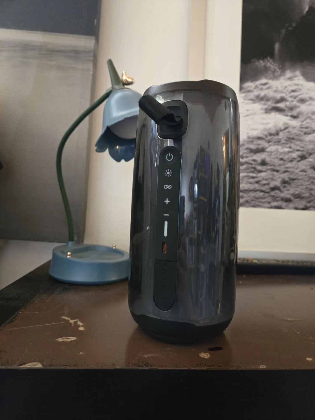 Pulse 5 Portable Wireless Speaker - photo 5
