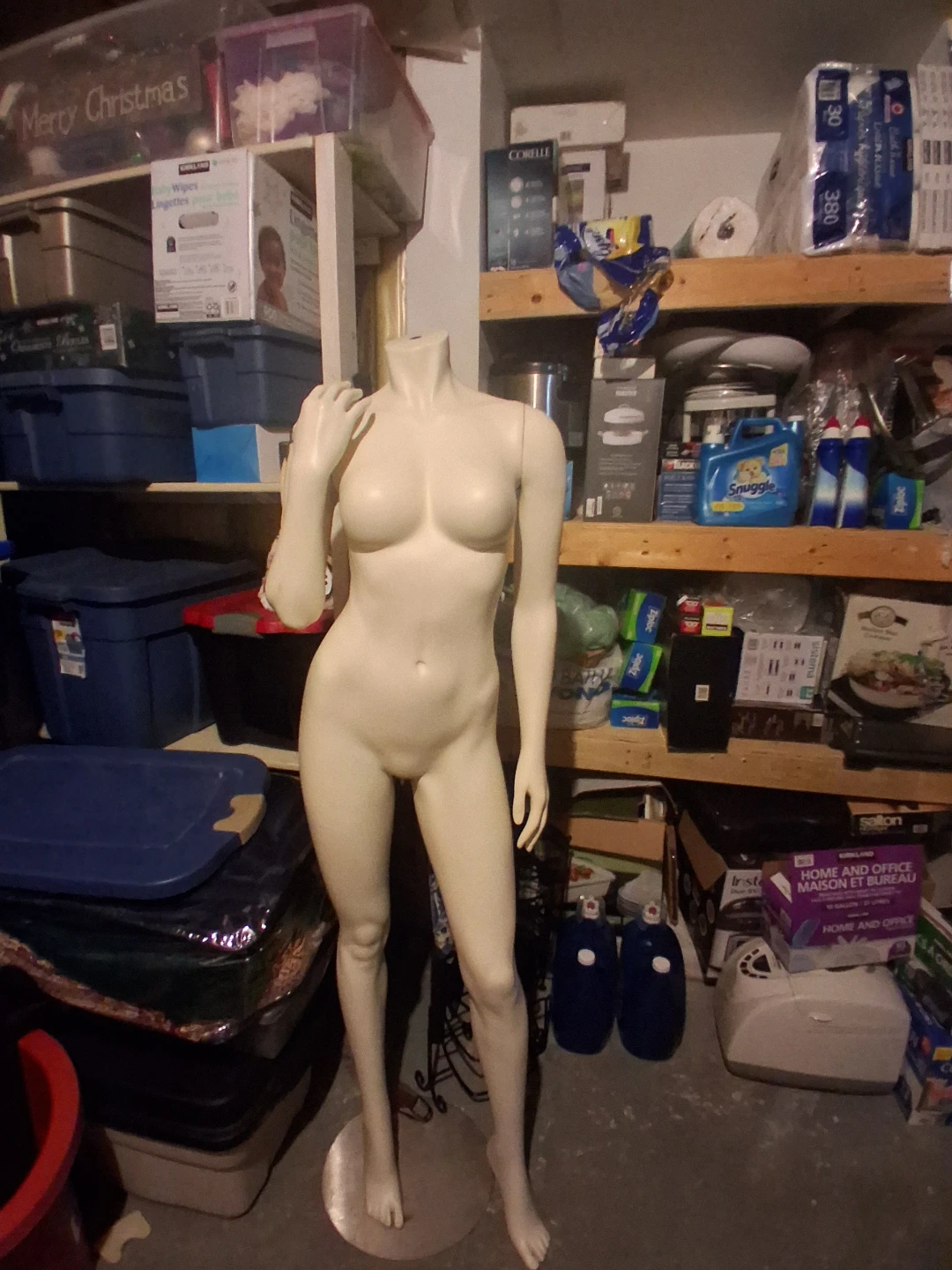 Female Mannequin Torso and Legs