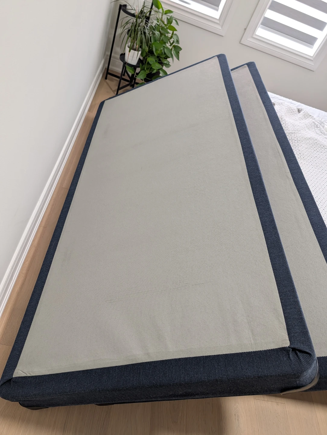 Tempur-Pedic Align Firm King Mattress with Bed box n protector - photo 3