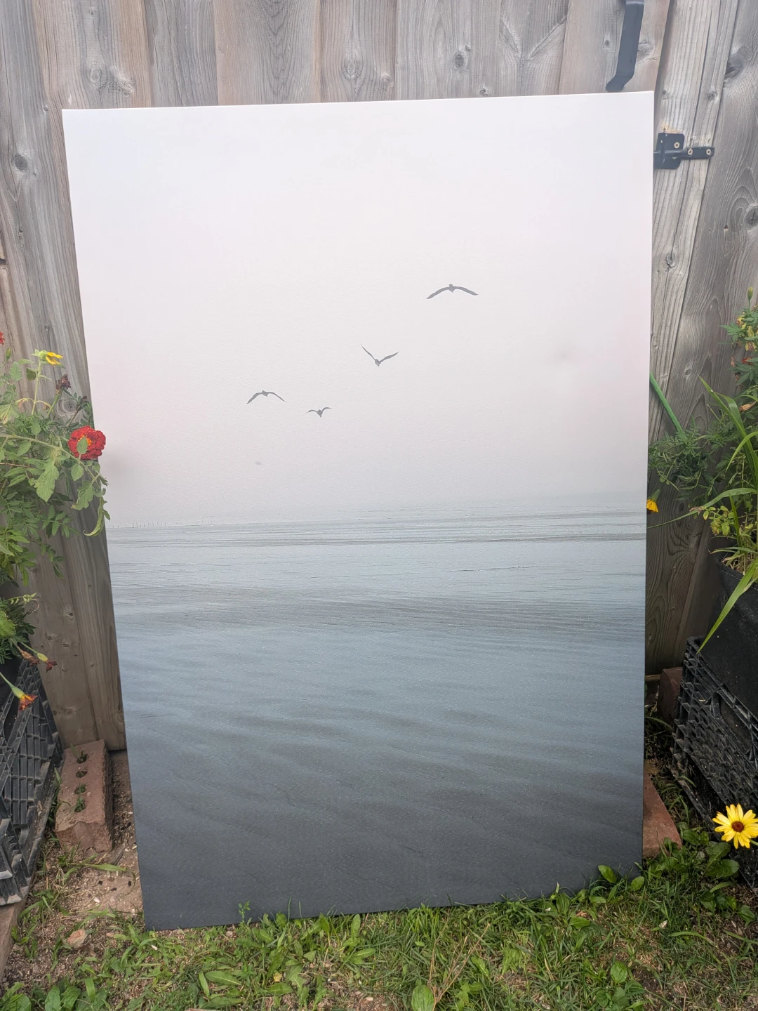 Canvas Print - Foggy Beach with Birds