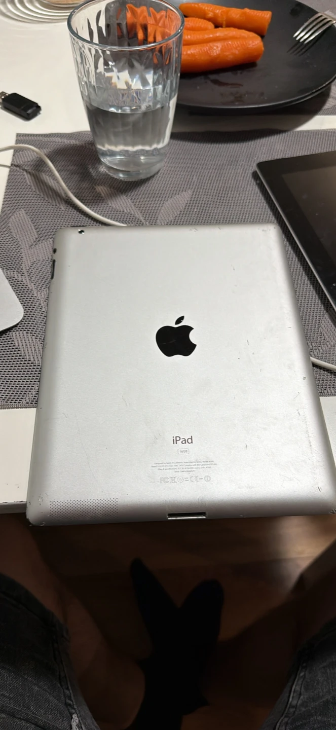 Apple iPad 2 16GB Wi-Fi Silver - photo 2