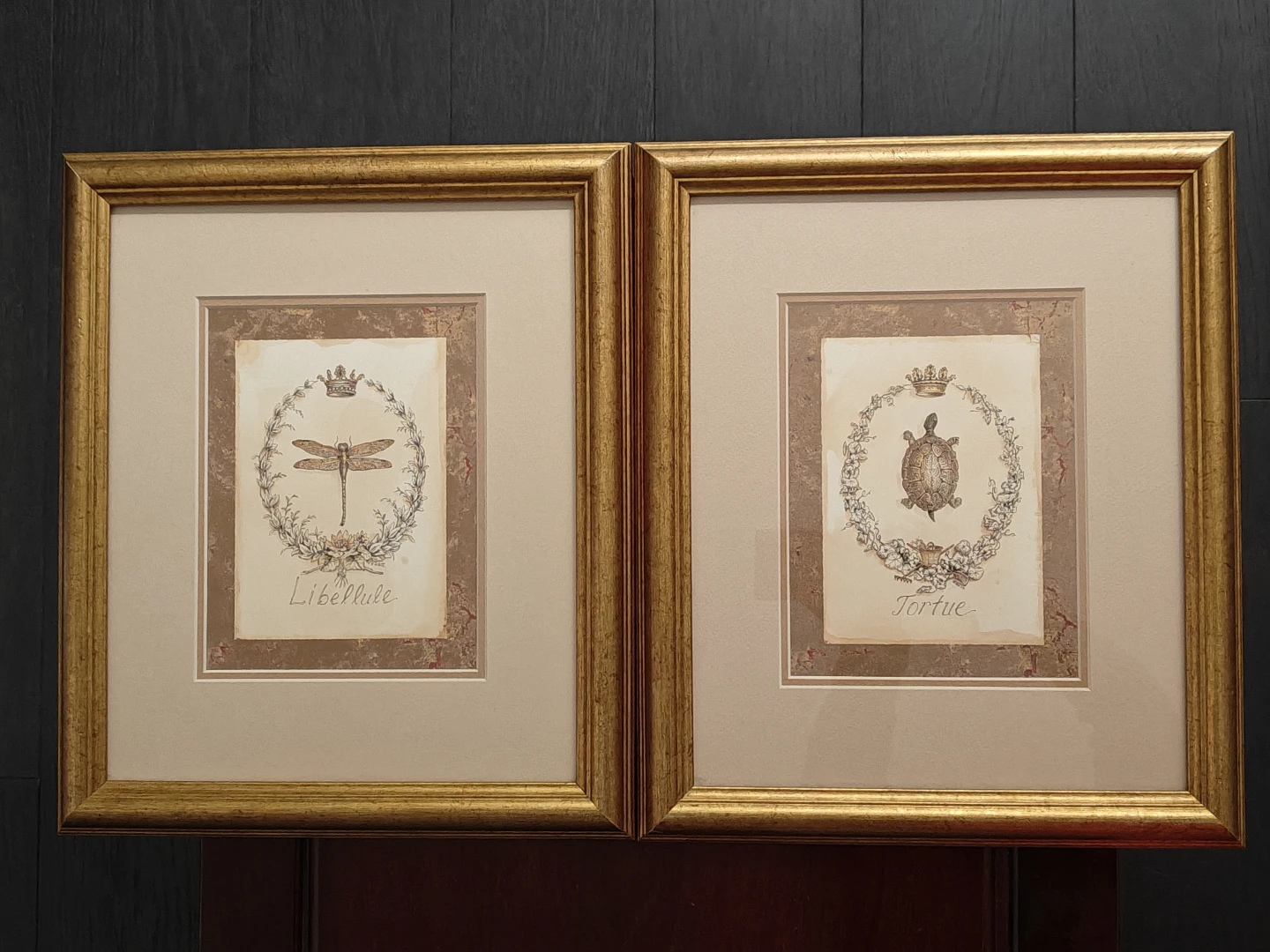 Pair of Framed K. White Framed Art Prints - Tortue and Libellule