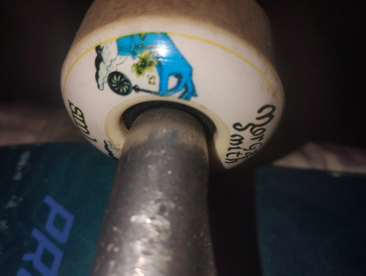 Santa Cruz Skateboards Pro Model Skateboard