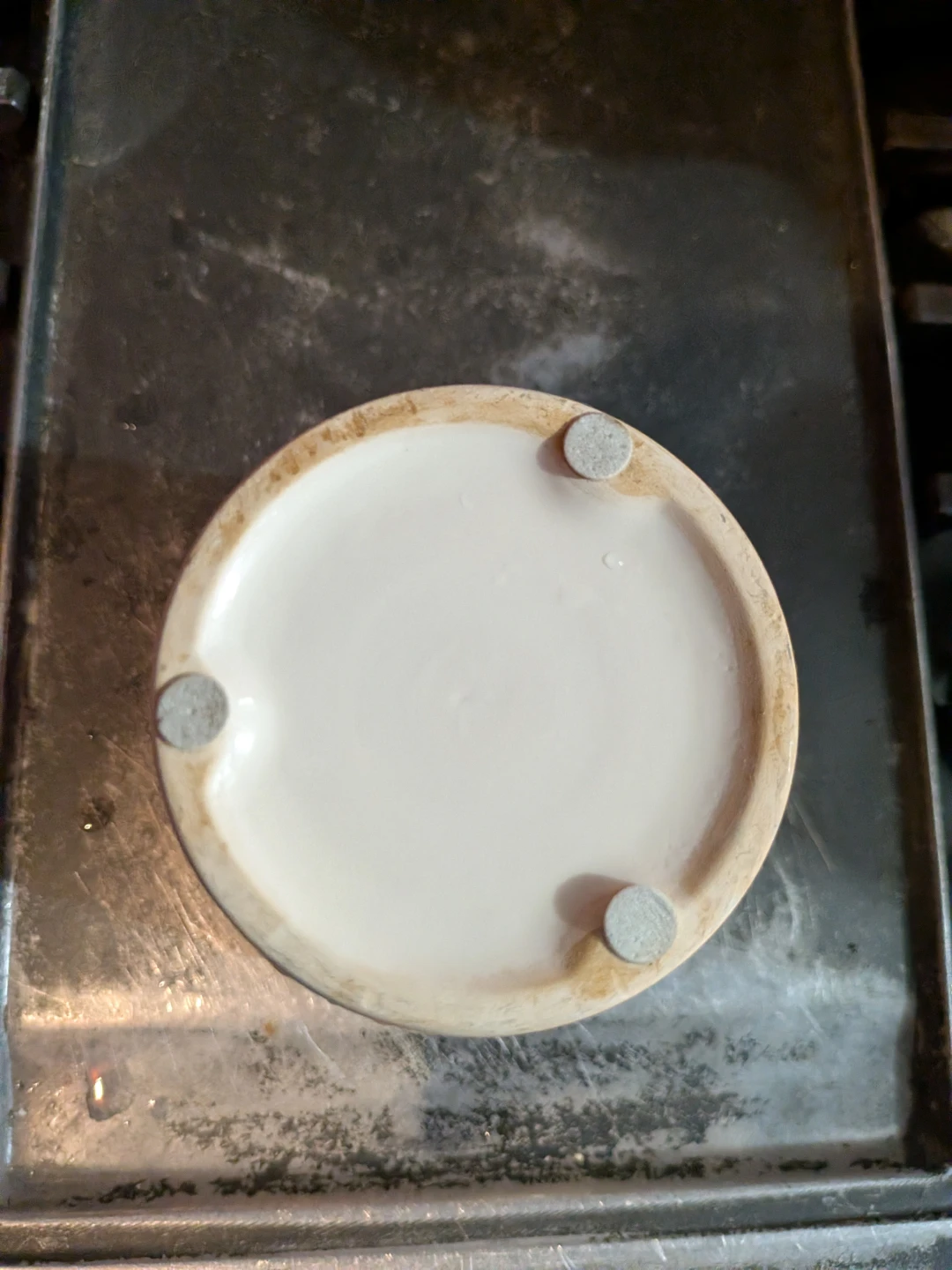 Trader Joe's Ceramic Plant Pot - photo 3