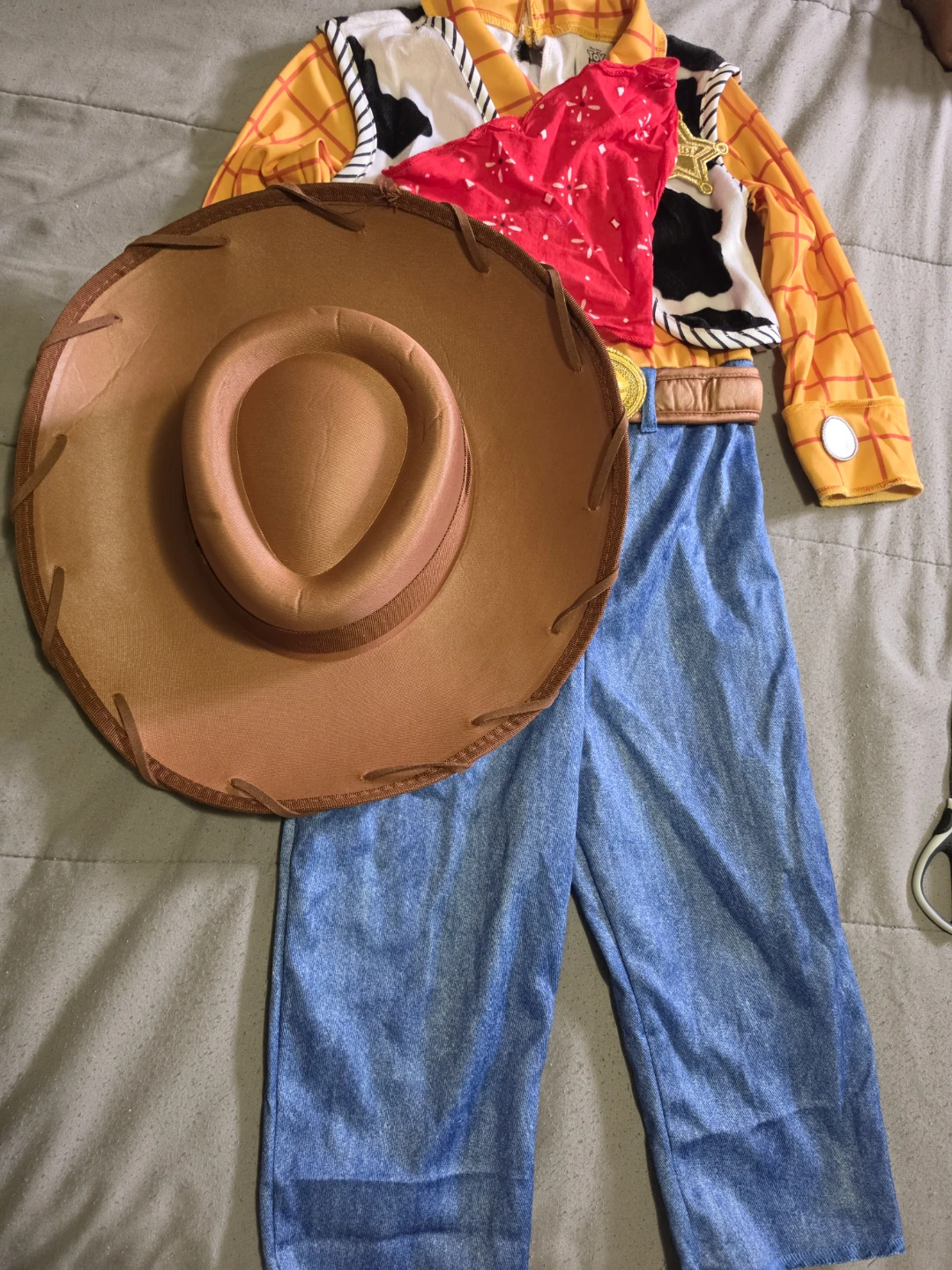 Toy Story Woody Infant Costume - photo 2