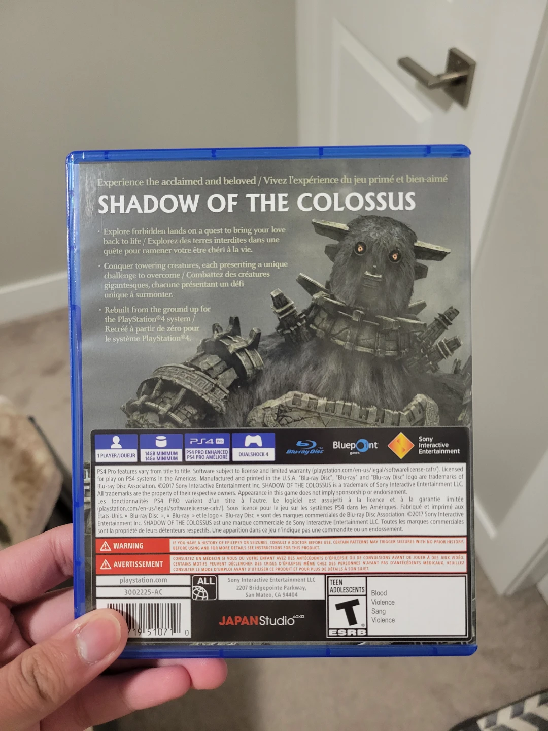 Shadow of the Colossus for PlayStation 4 - photo 2