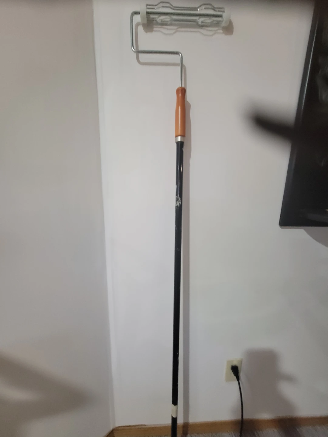 Paint Roller with Extension Pole