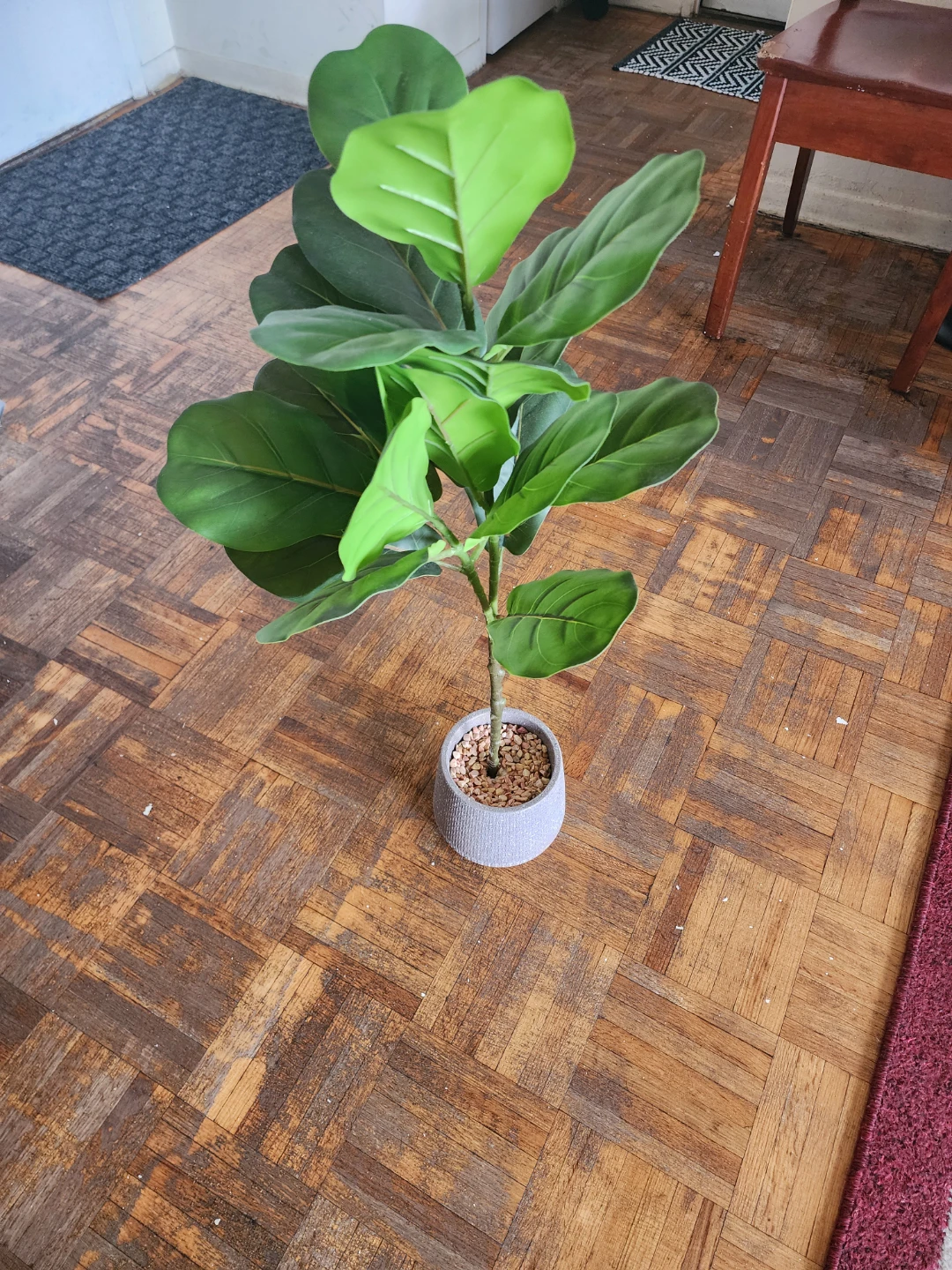 Artificial Fiddle Leaf Fig Plant in Grey Pot - photo 2