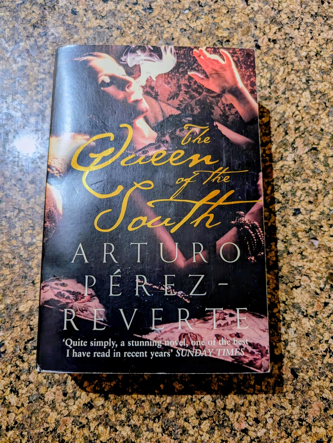 The Queen of the South by Arturo Pérez-Reverte