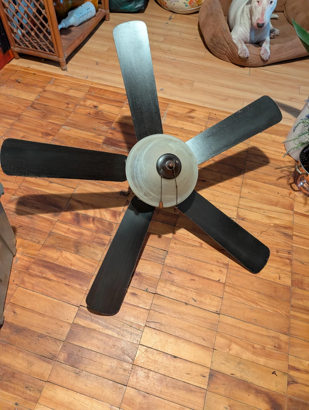 Five-Blade Ceiling Fan with Light