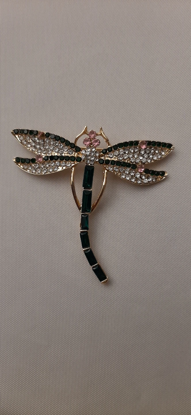 Beautiful dragonfly brooch