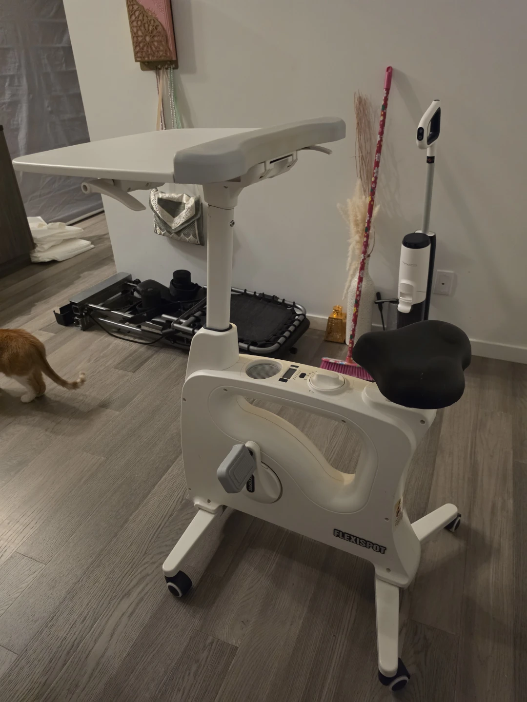 FlexiSpot Desk Bike V9 - photo 2