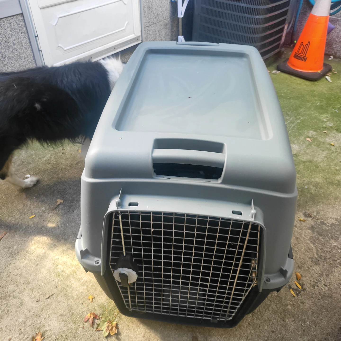 Large Pet Travel Carrier - photo 2