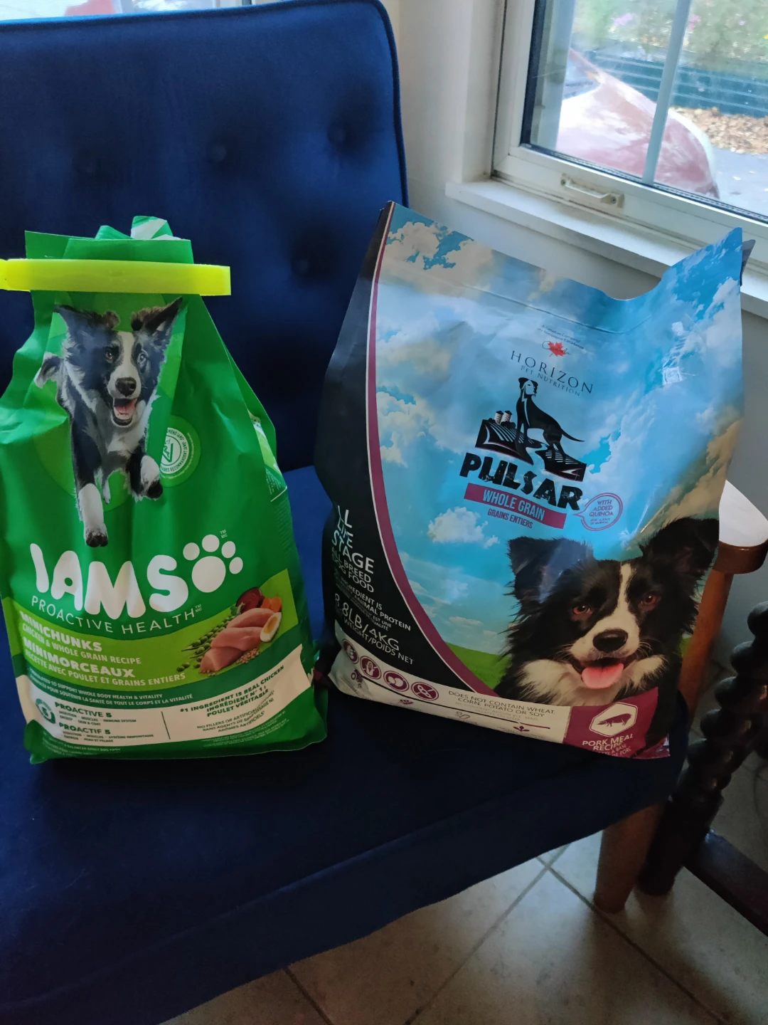 Dog food!