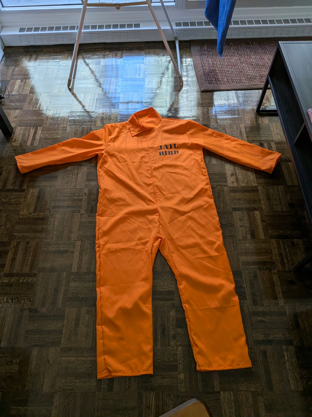Halloween prison costume