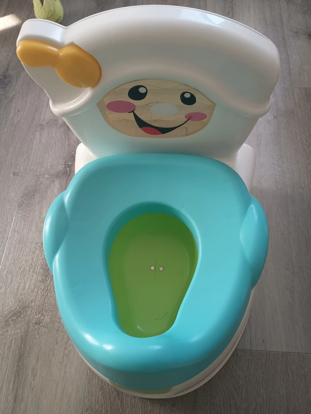 Fisher-Price Potty Chair