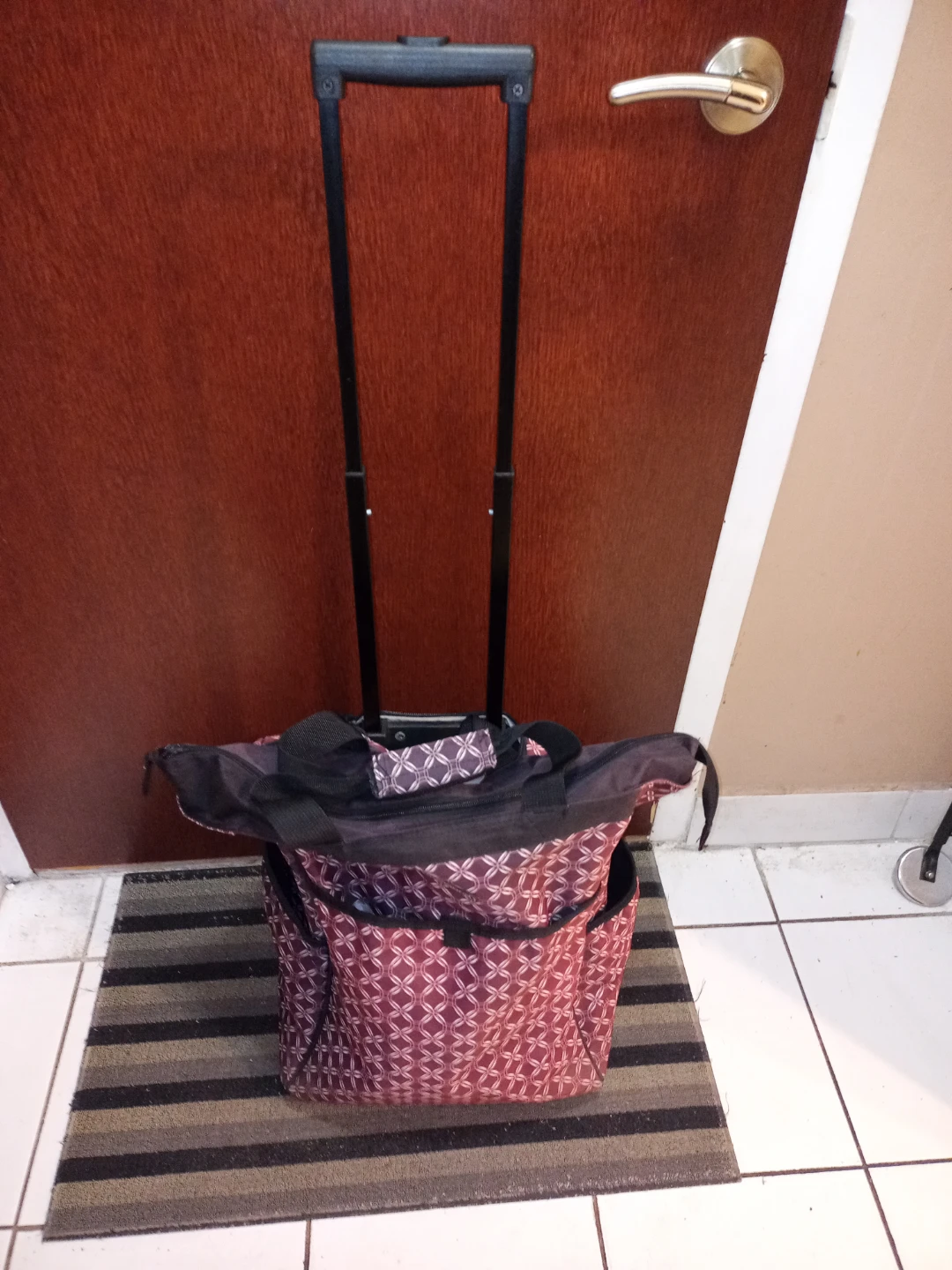 Shopping Cart / Bag