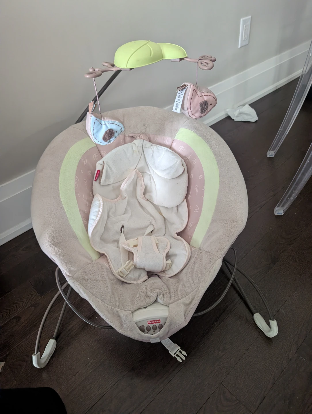 Fisher-Price Baby Bouncer