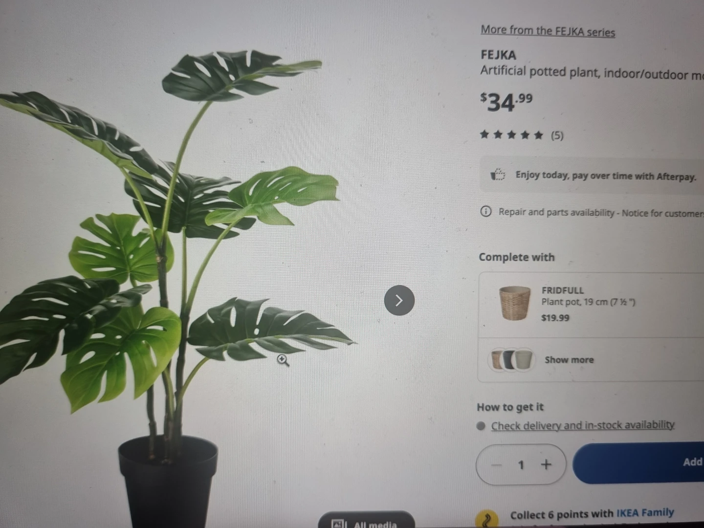 Two IKEA FEJKA Artificial Potted Plants - photo 3