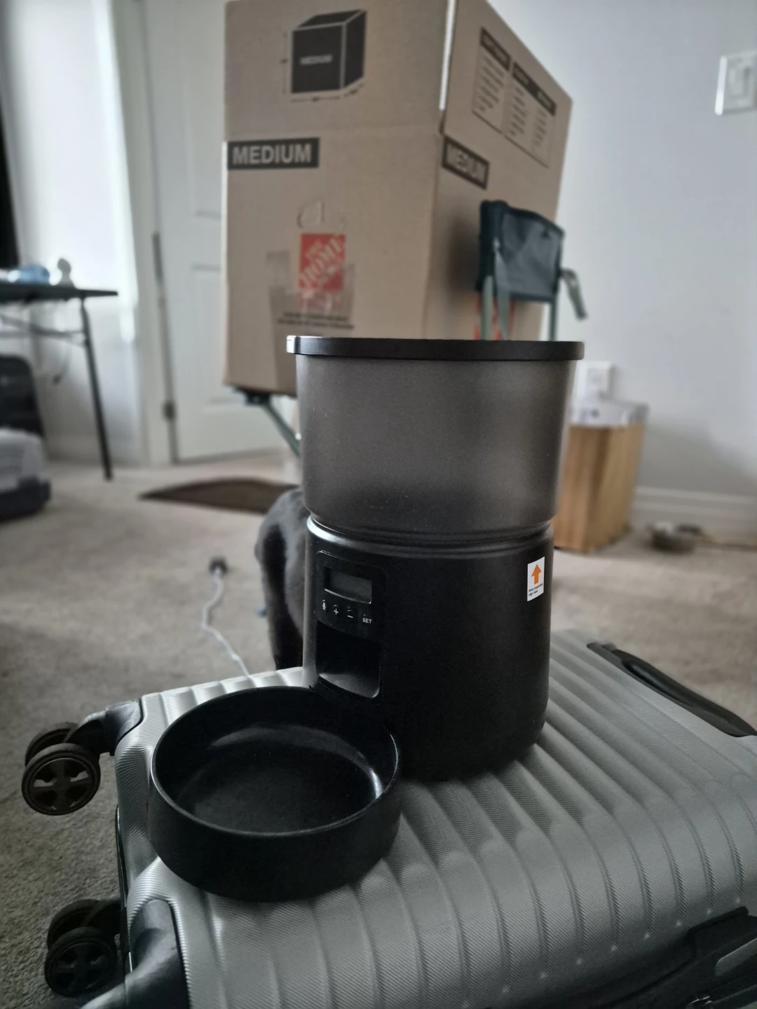 Automatic Pet Feeder