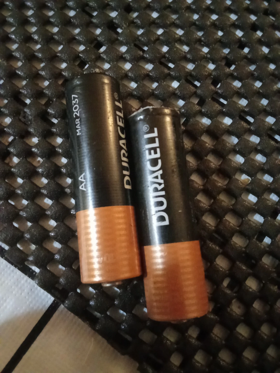 Two Duracell AA Batteries