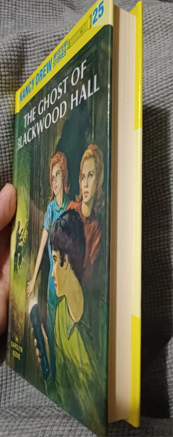 Nancy Drew Mystery Stories: The Ghost of Blackwood Hall - photo 3