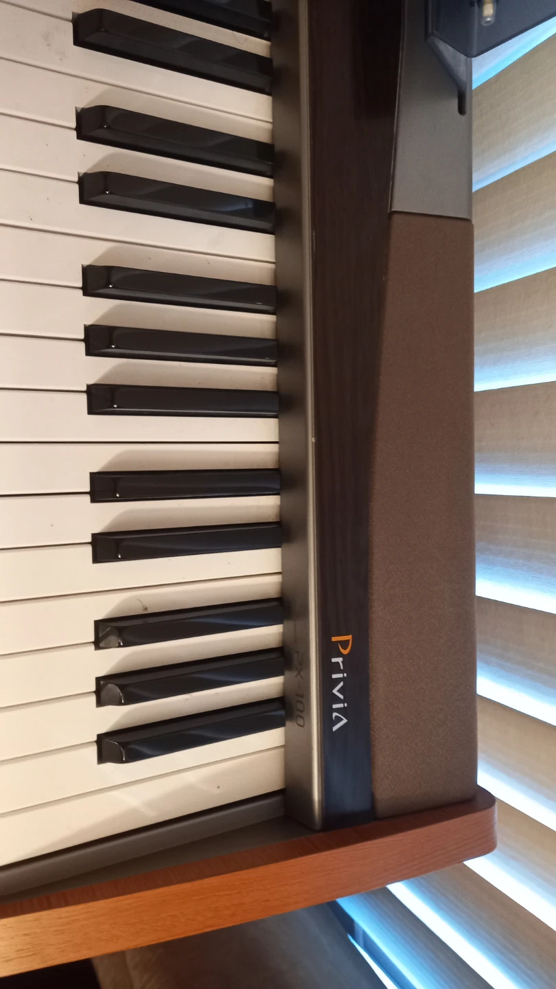 Casio Privia electric Piano- 88 key - photo 2