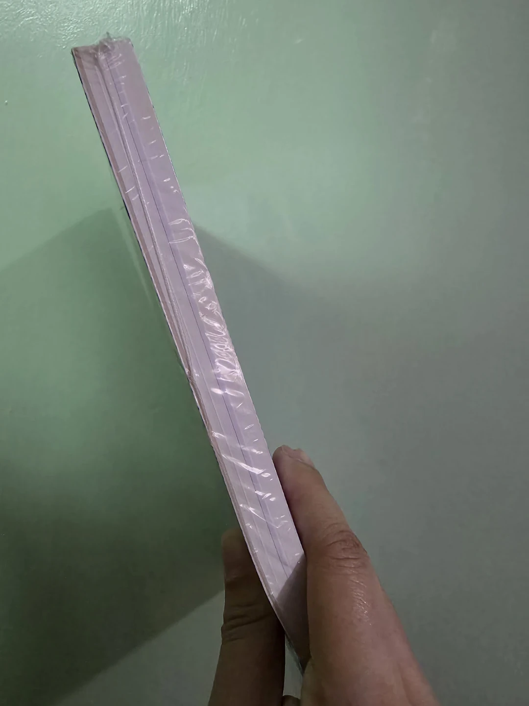 Candice Lin: Seeping, Rotting, Resting, Weeping Book - photo 2
