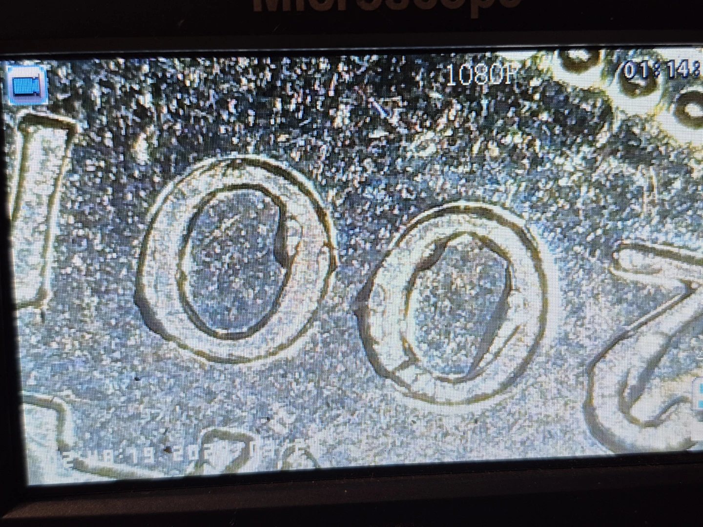 2001 Canadian 5-cent Coin with Error - photo 5