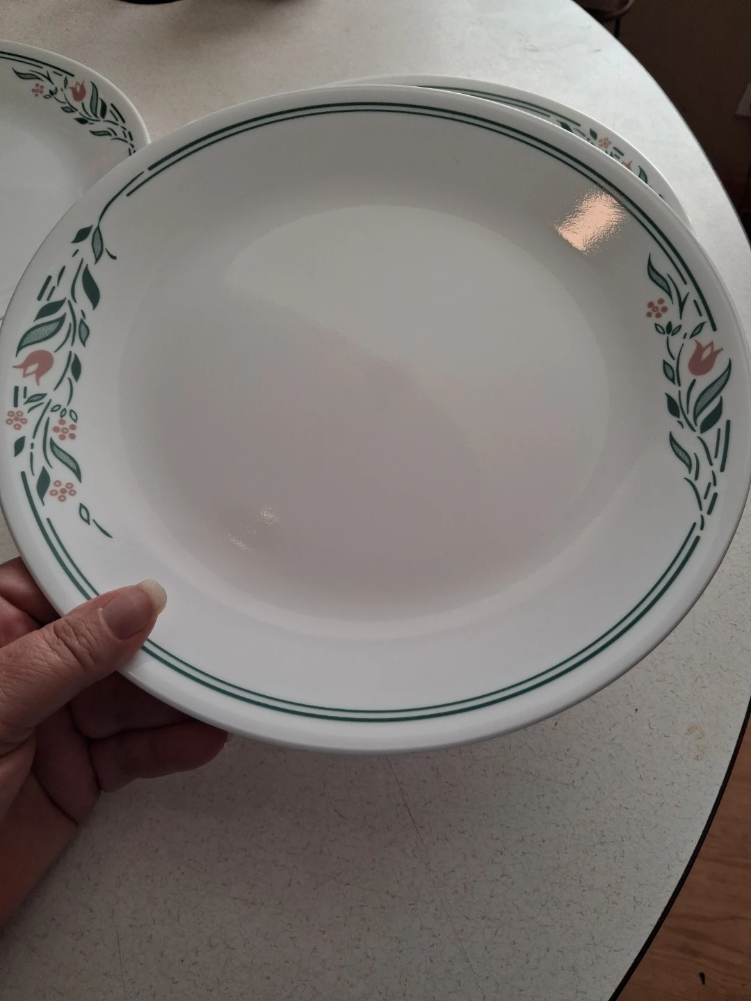 Vintage 16 Piece Rosemarie Corelle Dinnerware Set - photo 2