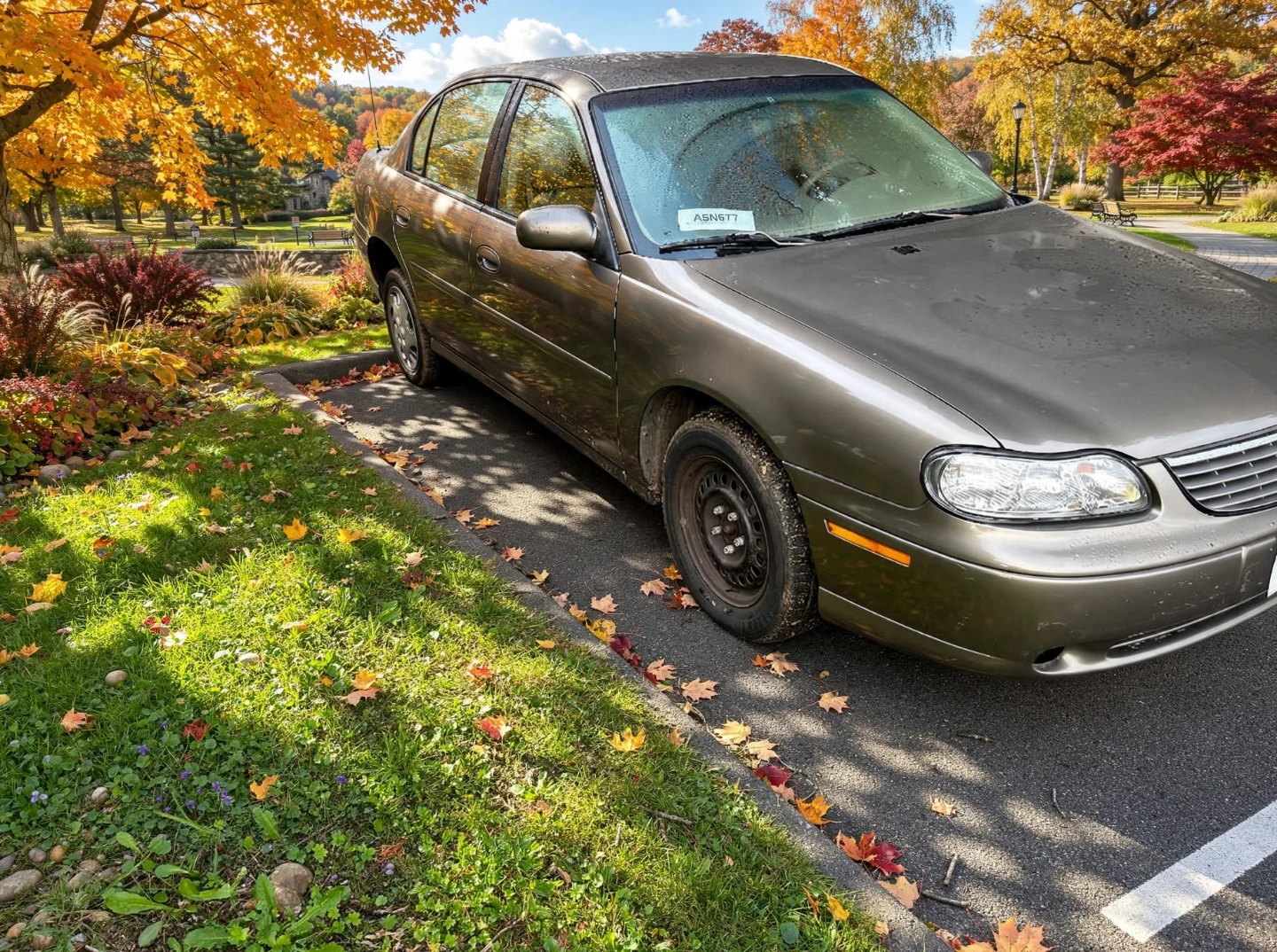 1999  Malibu - photo 2