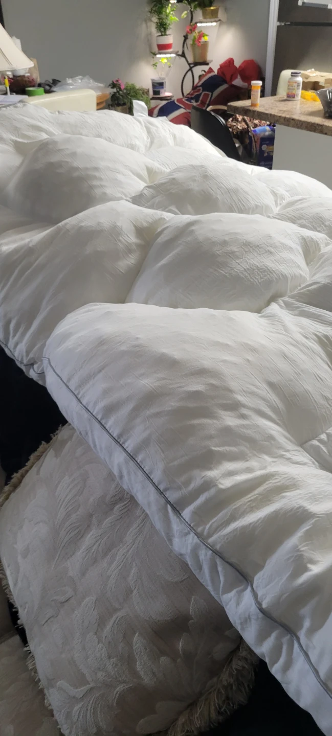 Twin White Mattress Topper great condition - photo 4