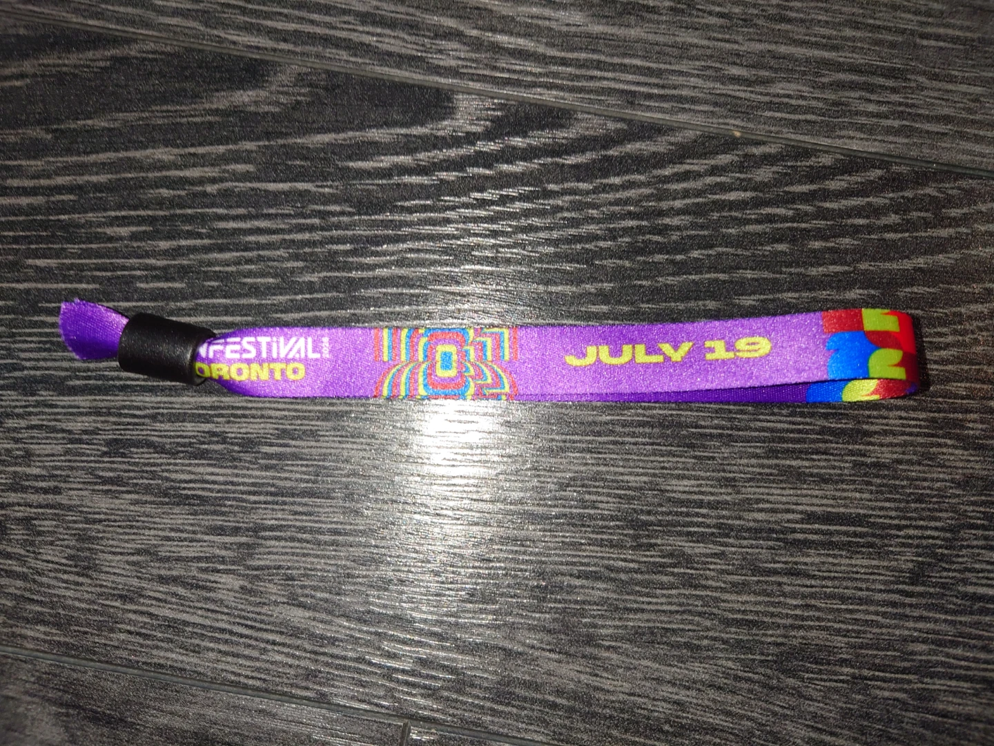 FIFA World Cup in 026 FanFest VIP Wristband