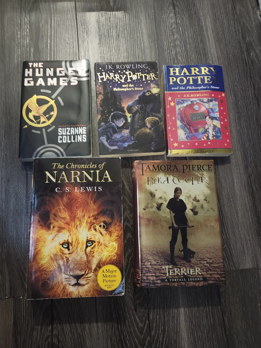 Fantasy and Young Adult Book Collection