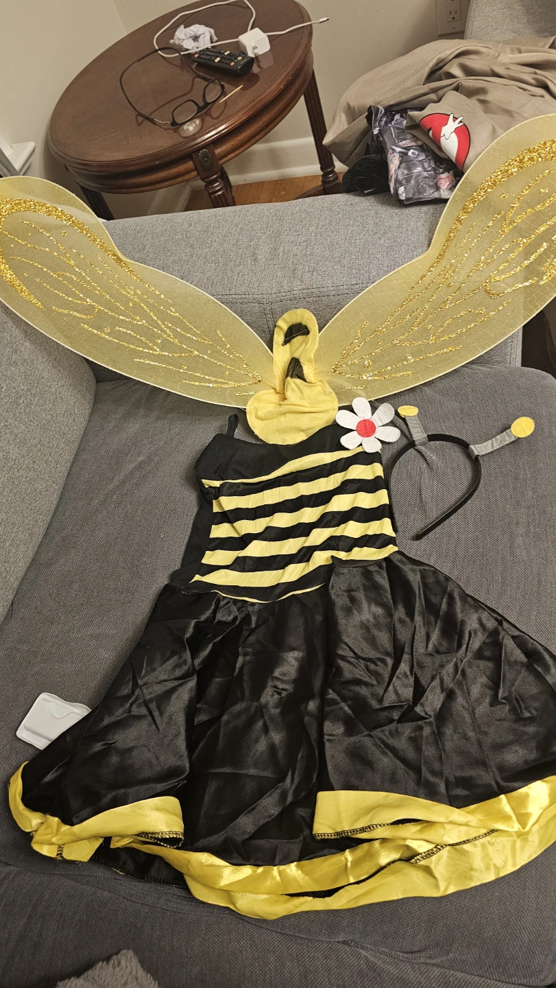 Children's Bee Costume